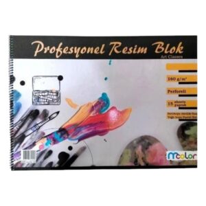 Mcolor MColor Spiralli Profesyonel Resim Defteri 15 Yaprak 25 x 35 160 g