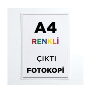 Vege Renkli A4 Fotokopi Çıktı